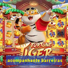 acompanhante barreiras