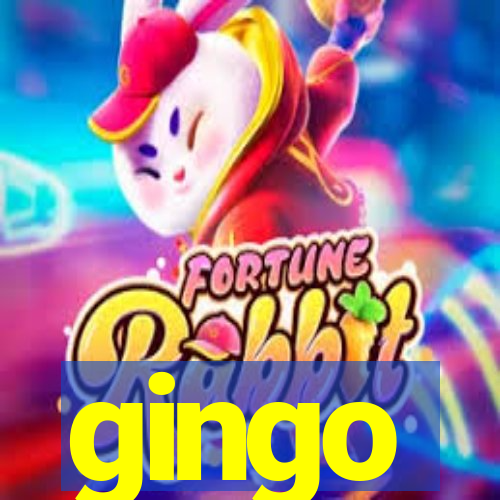 gingo