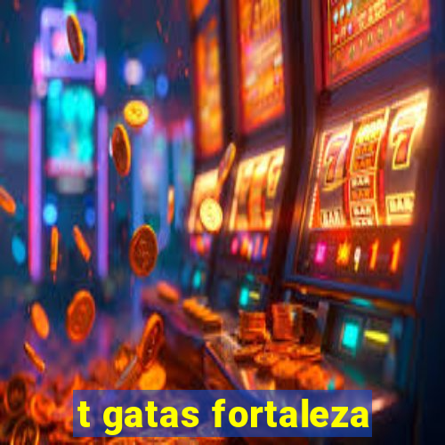 t gatas fortaleza