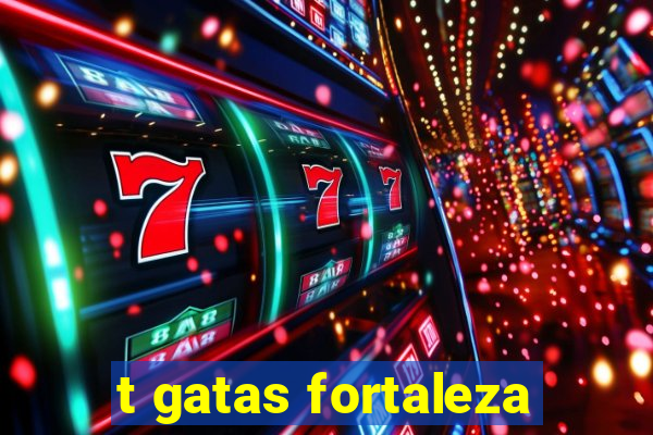 t gatas fortaleza