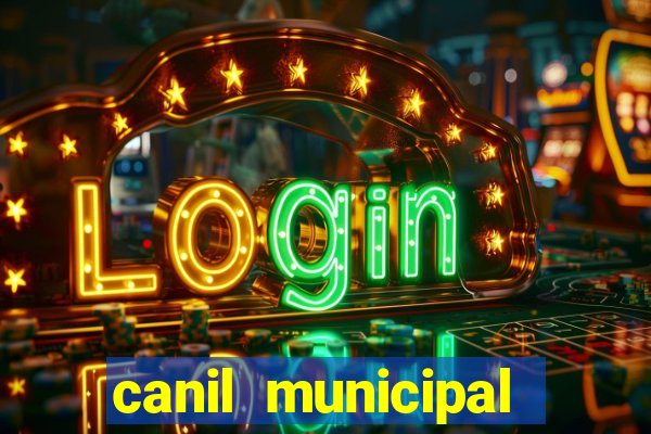 canil municipal porto alegre