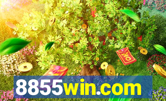 8855win.com