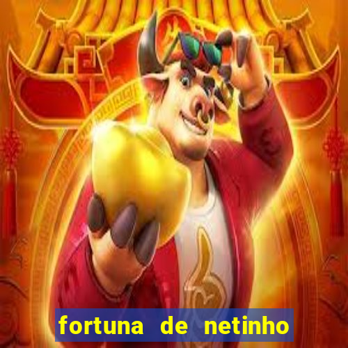 fortuna de netinho de paula