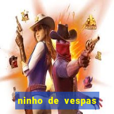 ninho de vespas significado espiritual