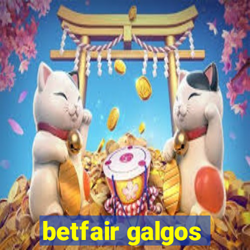 betfair galgos