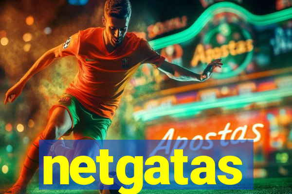 netgatas