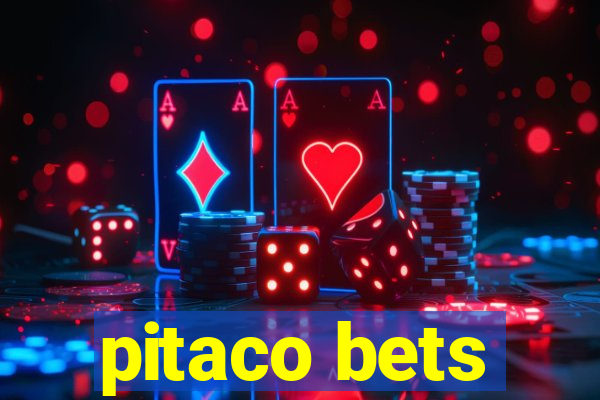 pitaco bets