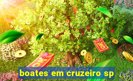 boates em cruzeiro sp