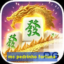 mc pedrinho fortuna