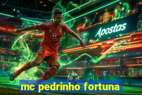 mc pedrinho fortuna