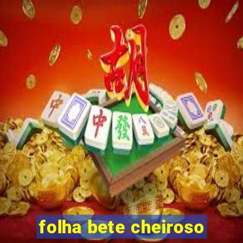 folha bete cheiroso