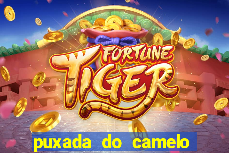 puxada do camelo jogo do bicho