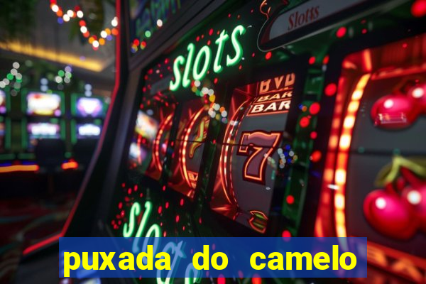 puxada do camelo jogo do bicho