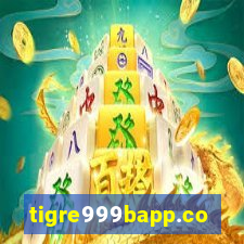 tigre999bapp.com