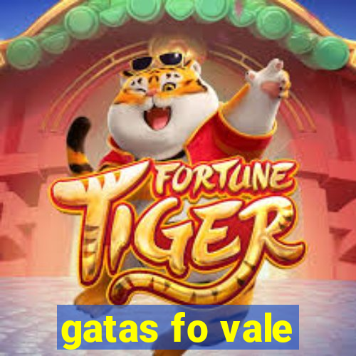 gatas fo vale