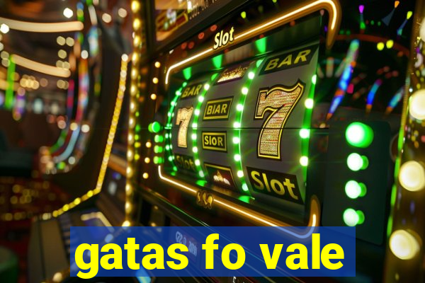 gatas fo vale