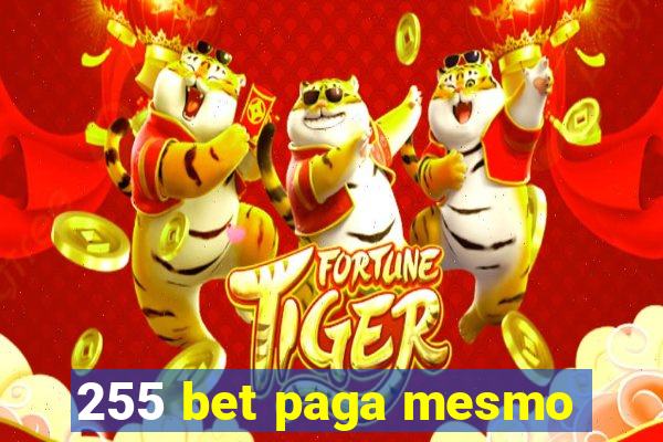 255 bet paga mesmo