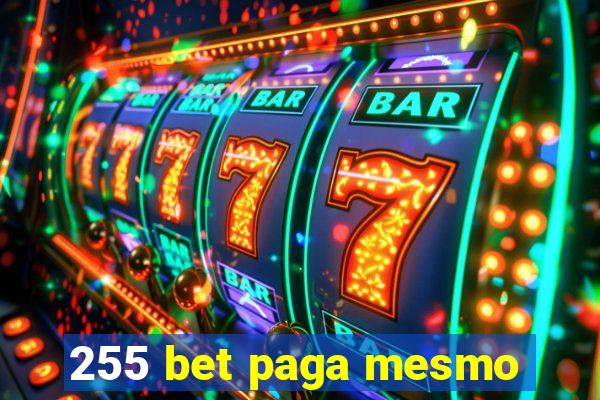 255 bet paga mesmo