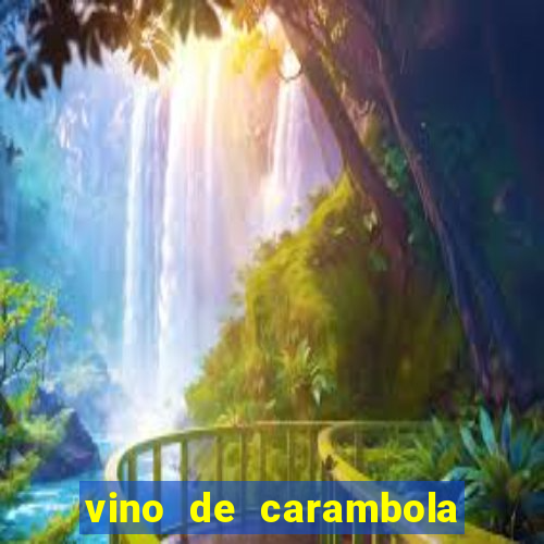 vino de carambola stardew valley